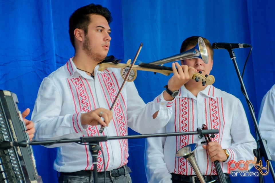 Festivalul Mustului, Oradea