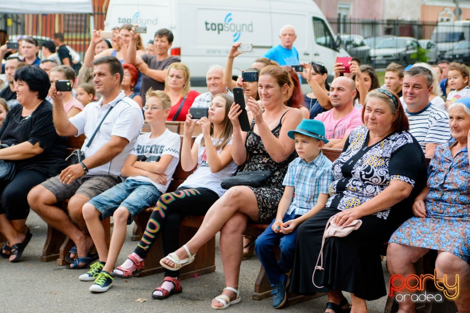 Festivalul Mustului, Oradea