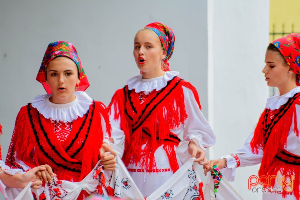 Festivalul Mustului, Oradea