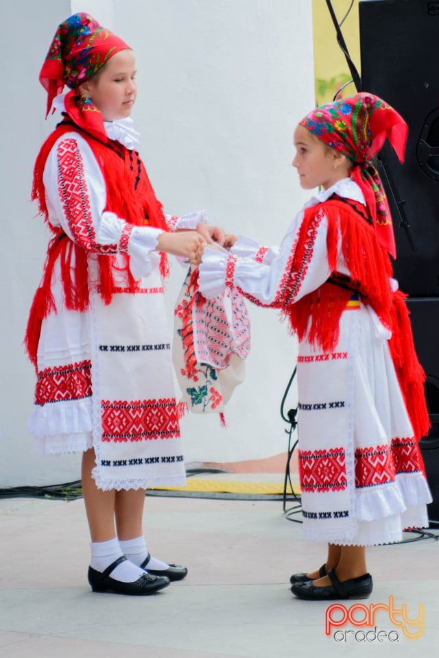 Festivalul Mustului, Oradea