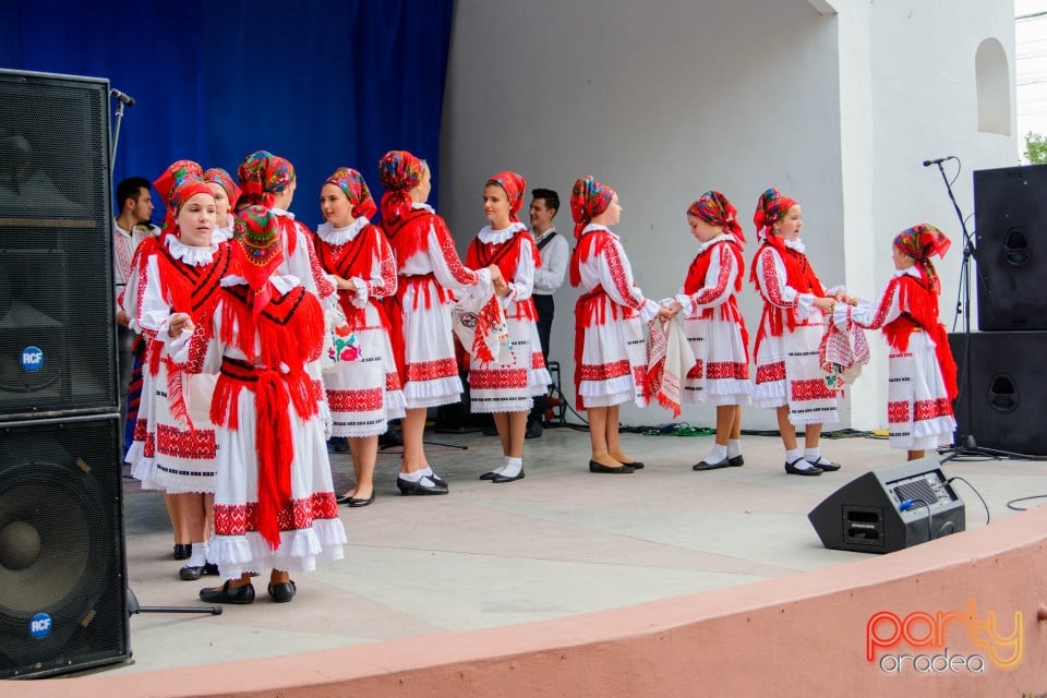 Festivalul Mustului, Oradea