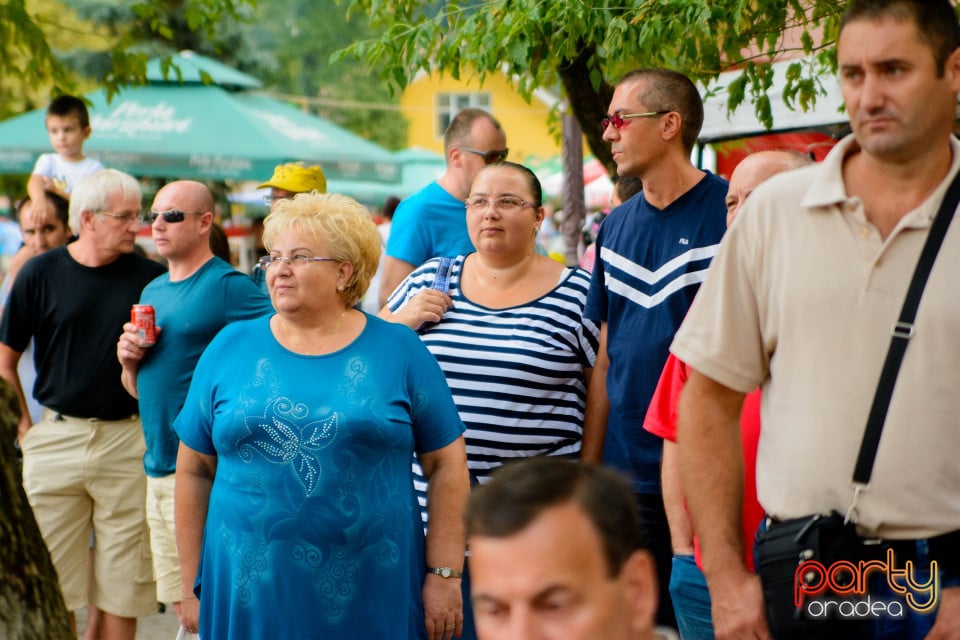 Festivalul Mustului, Oradea