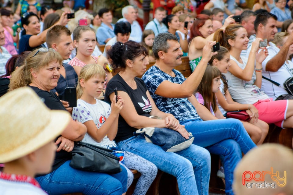 Festivalul Mustului, Oradea