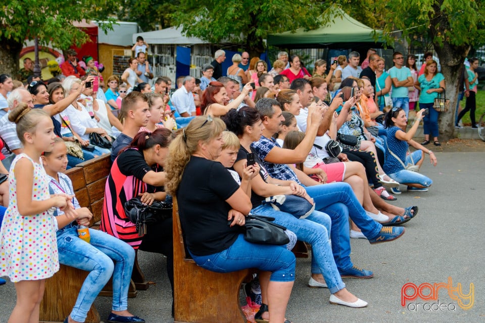 Festivalul Mustului, Oradea