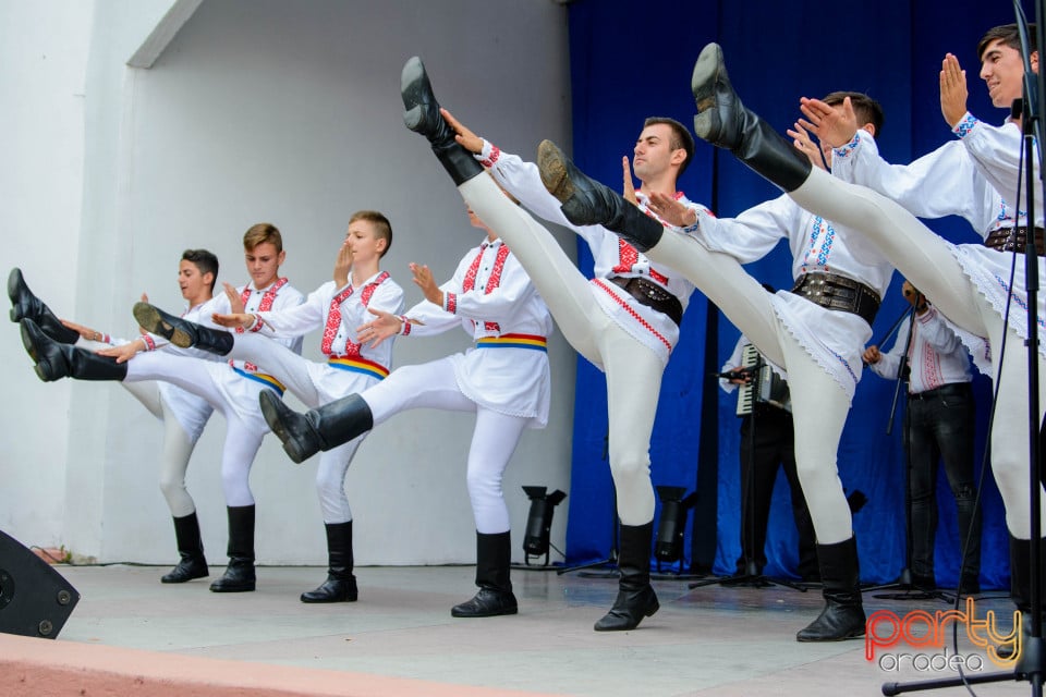 Festivalul Mustului, Oradea