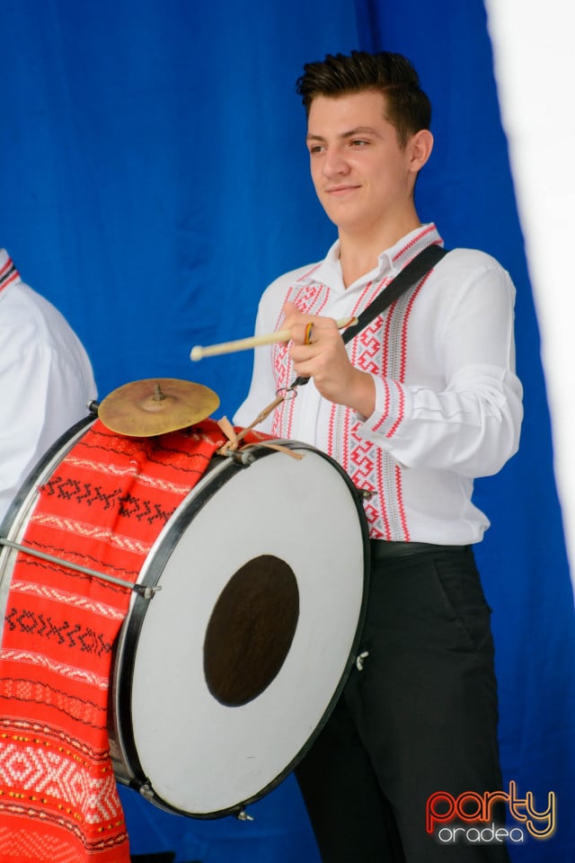 Festivalul Mustului, Oradea