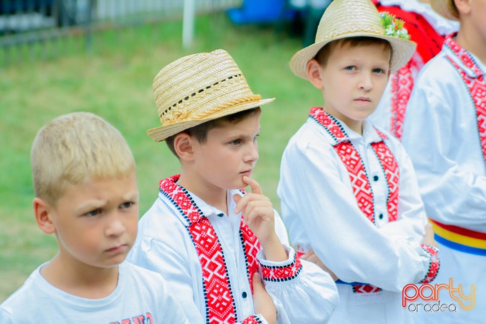 Festivalul Mustului, Oradea