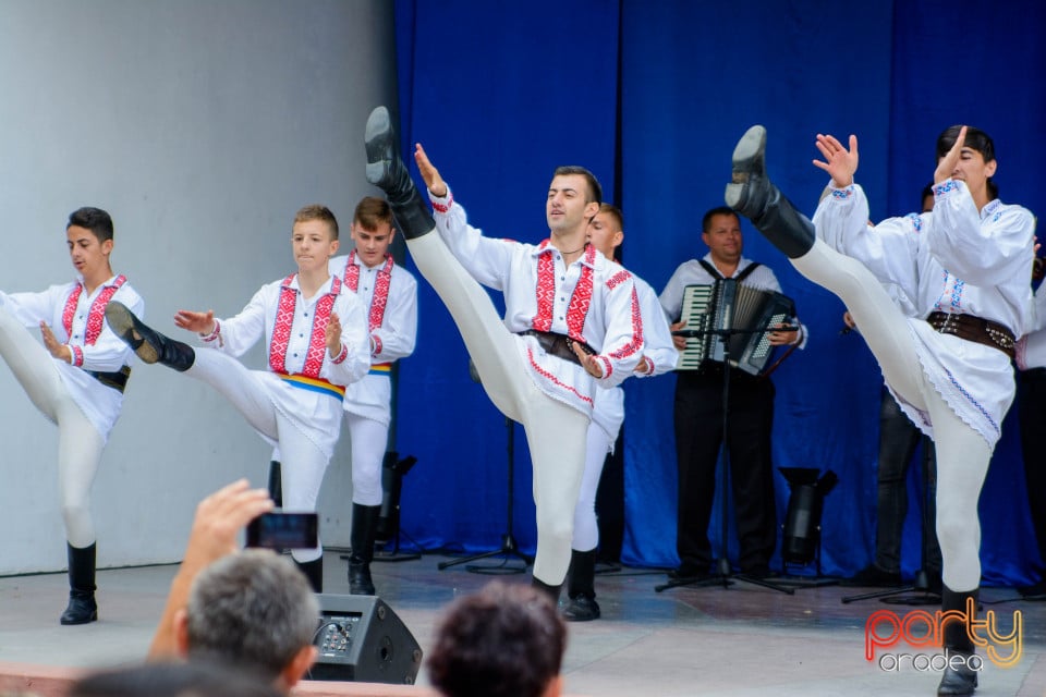 Festivalul Mustului, Oradea