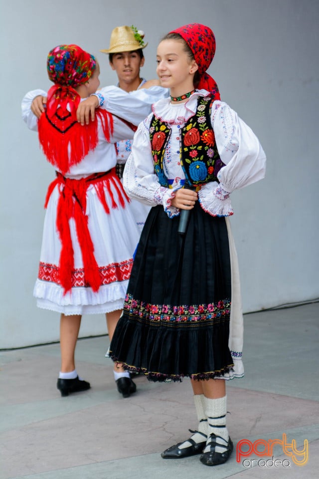 Festivalul Mustului, Oradea