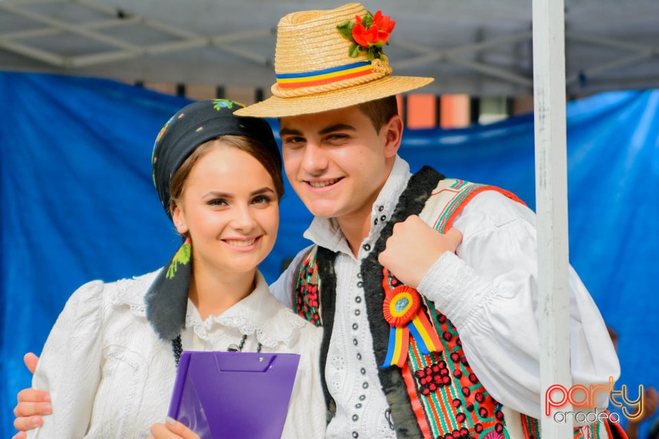 Festivalul Mustului, Oradea