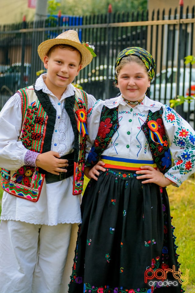 Festivalul Mustului, Oradea