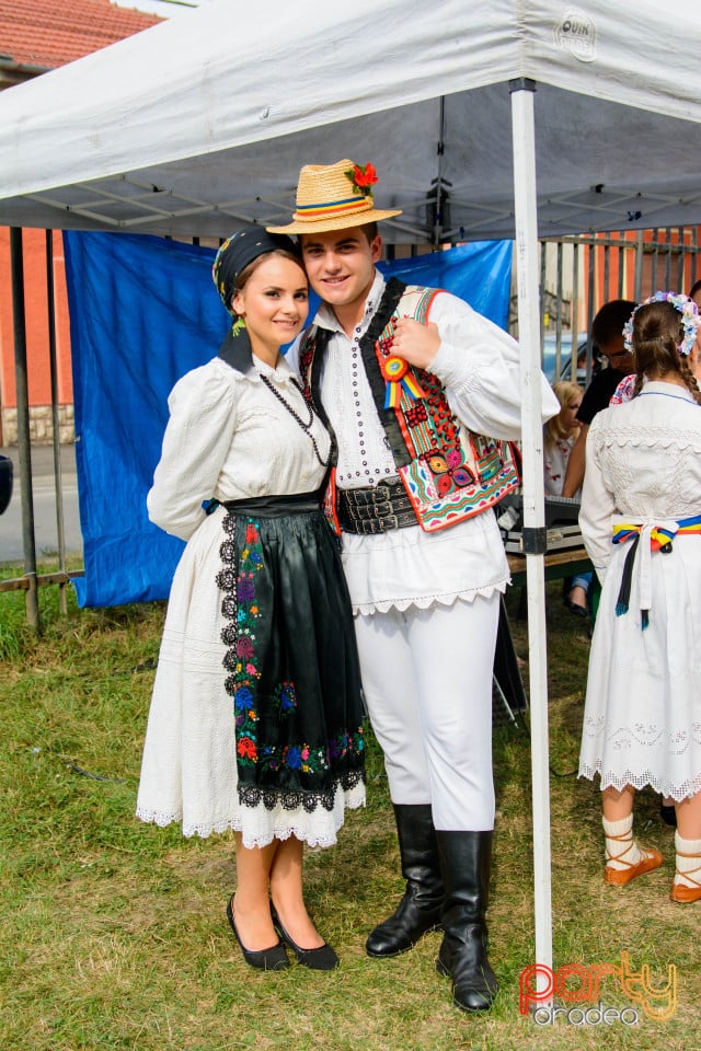 Festivalul Mustului, Oradea