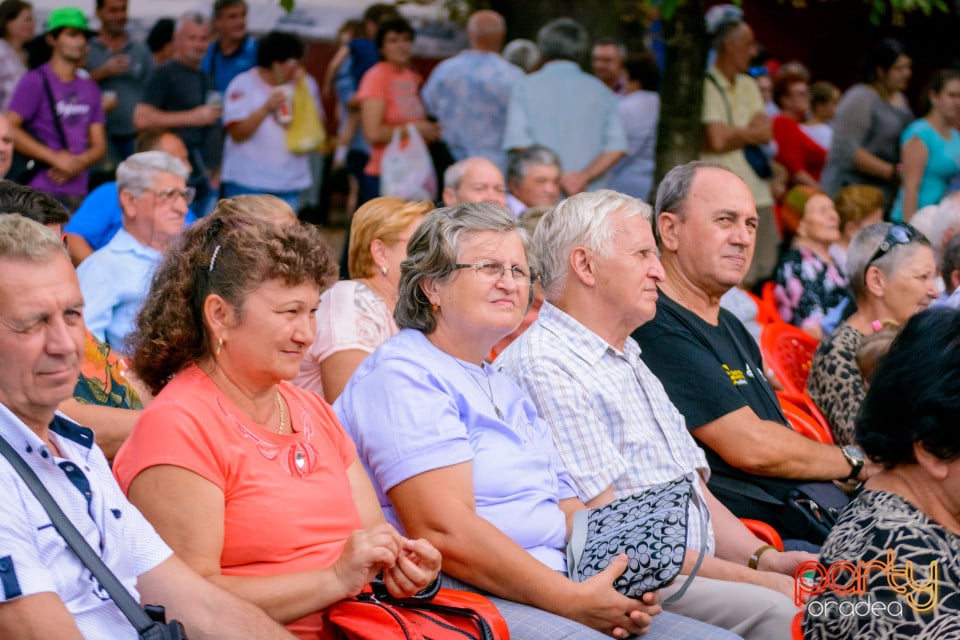 Festivalul Mustului, Oradea