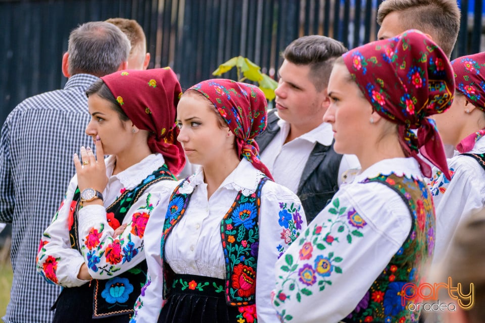 Festivalul Mustului, Oradea