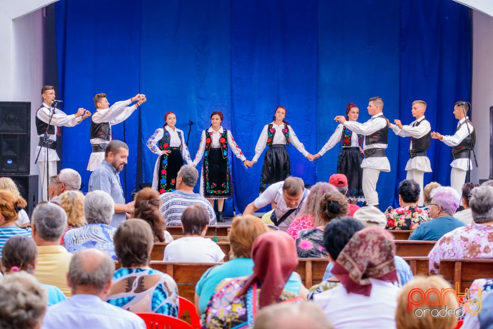 Festivalul Mustului, Oradea