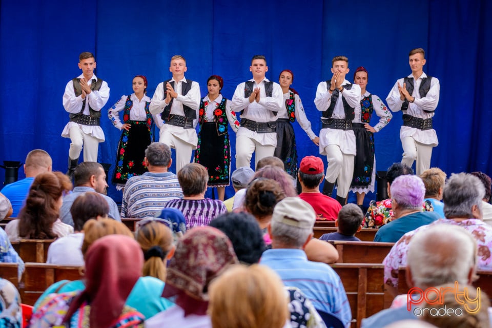 Festivalul Mustului, Oradea