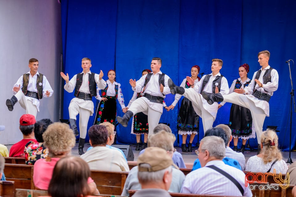 Festivalul Mustului, Oradea