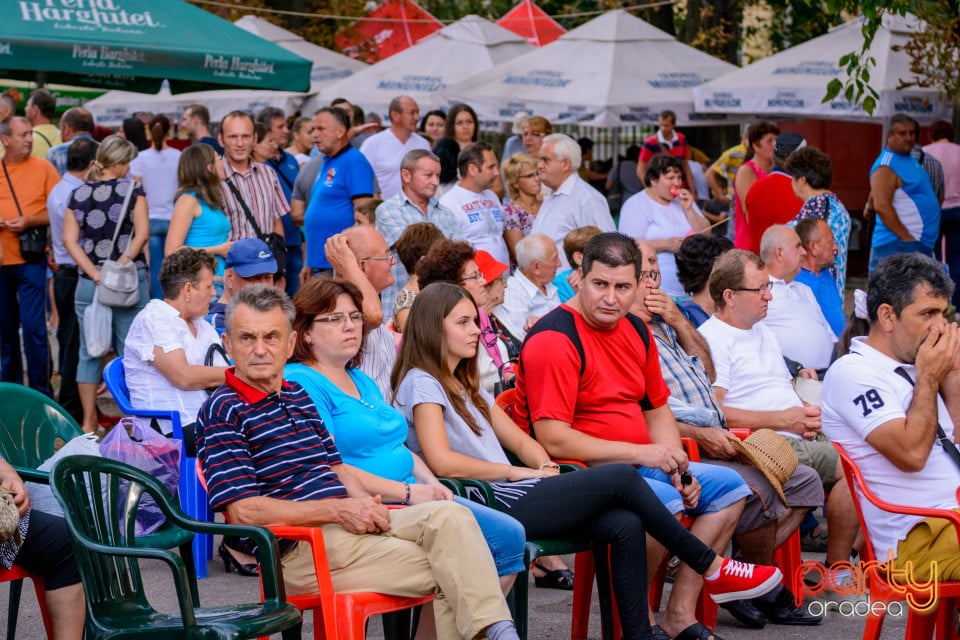 Festivalul Mustului, Oradea