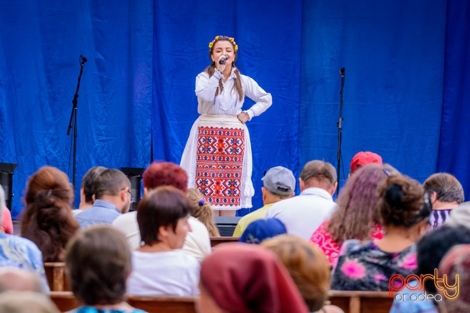 Festivalul Mustului, Oradea