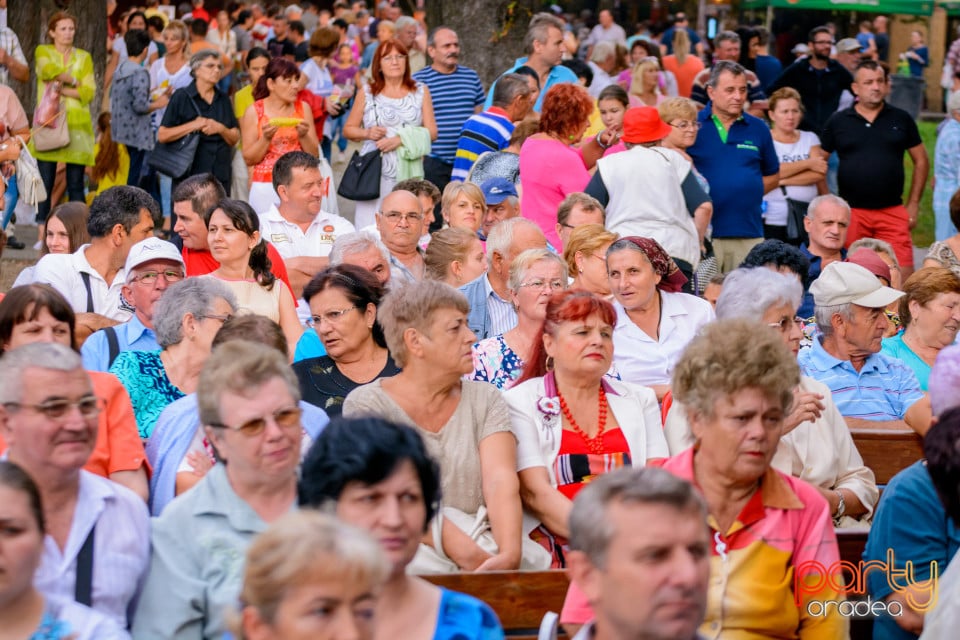 Festivalul Mustului, Oradea