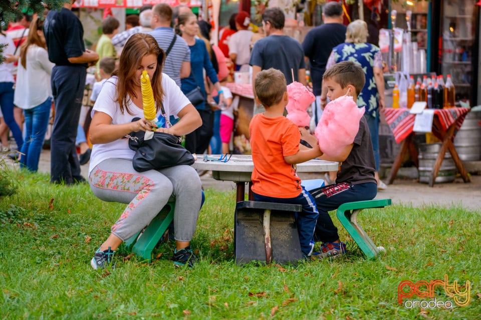 Festivalul Mustului, Oradea