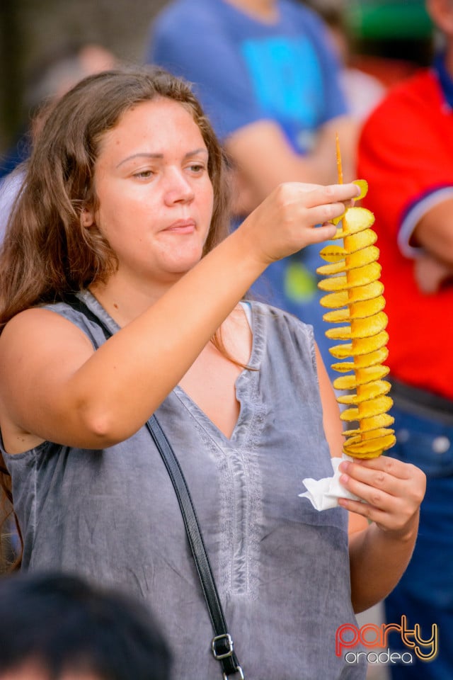 Festivalul Mustului, Oradea