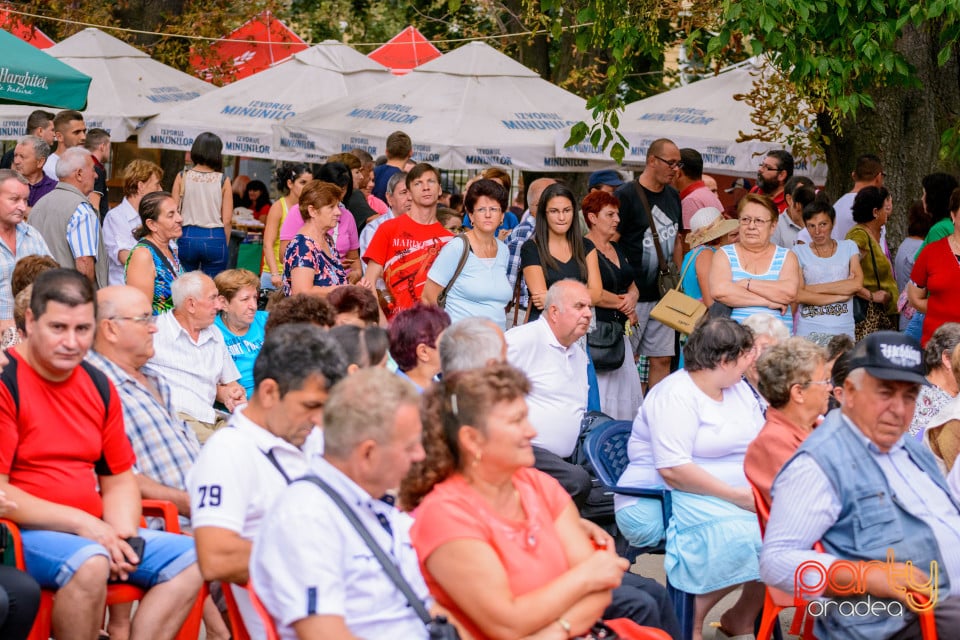 Festivalul Mustului, Oradea