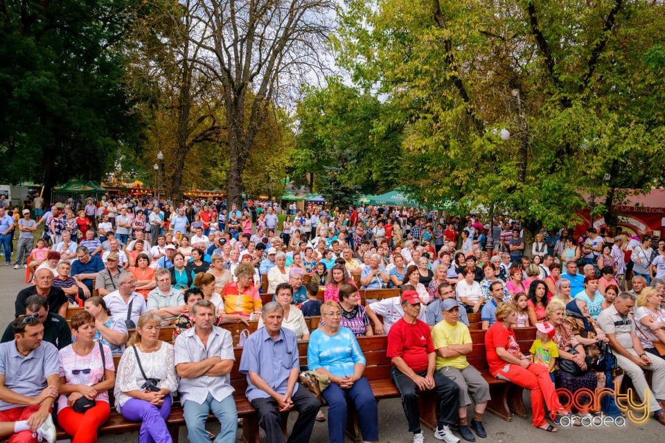 Festivalul Mustului, Oradea