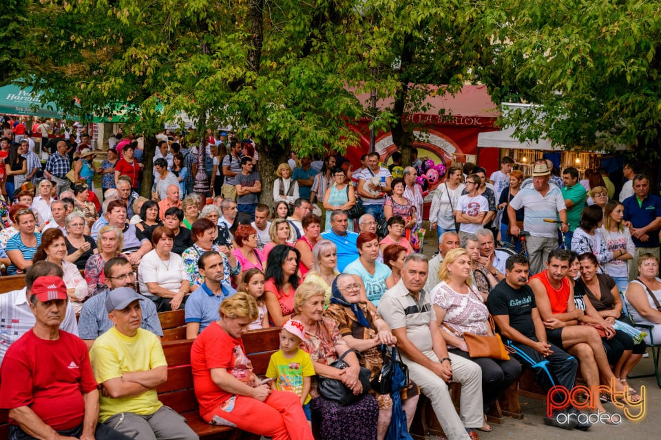 Festivalul Mustului, Oradea