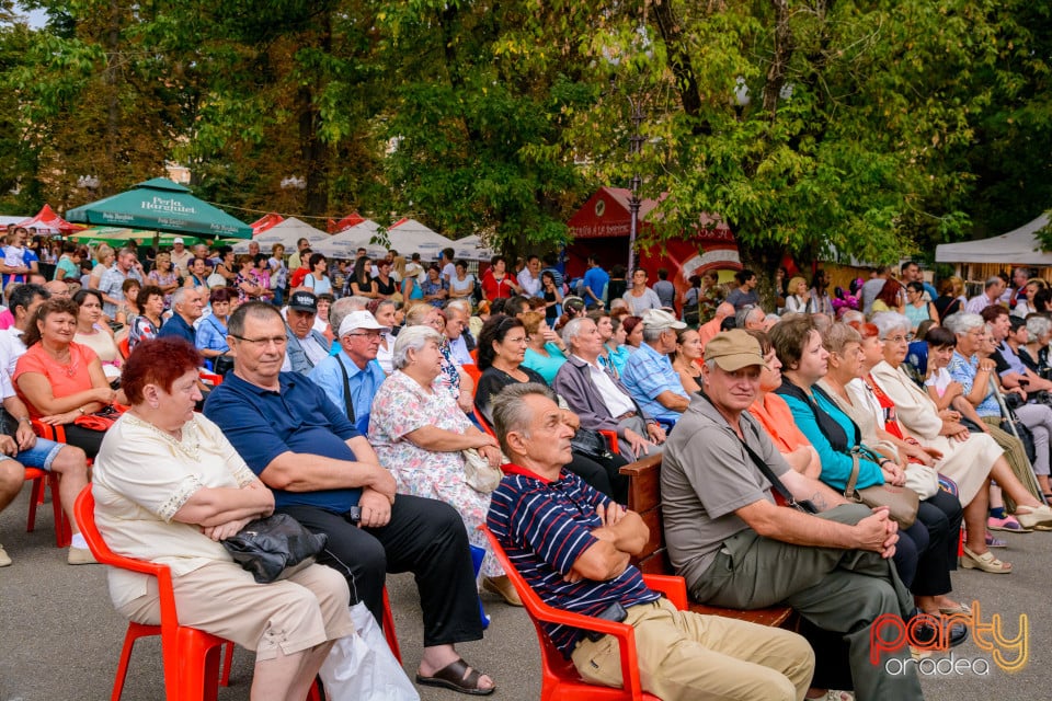 Festivalul Mustului, Oradea