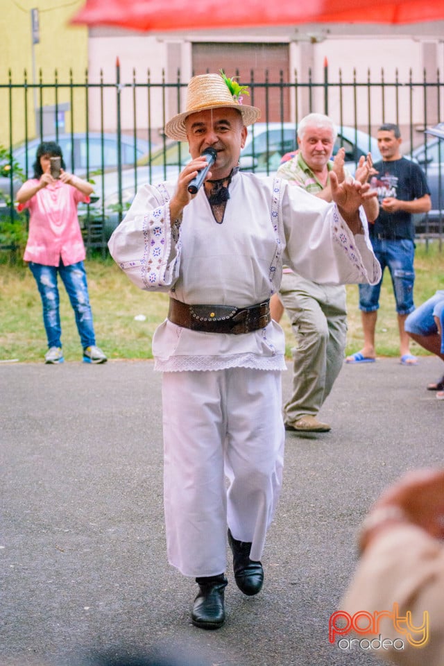 Festivalul Mustului, Oradea