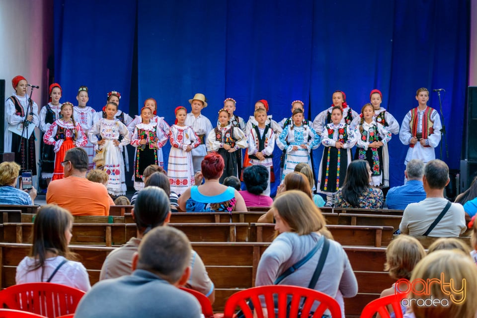 Festivalul Mustului, Oradea