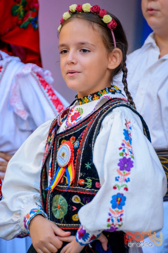 Festivalul Mustului, Oradea