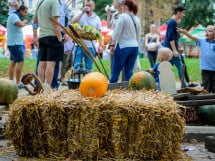 Festivalul Mustului