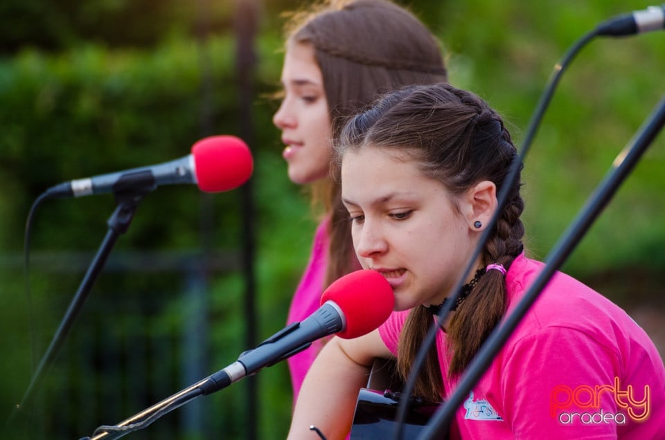 Festivalul Național de Folk Oradea, Cetatea Oradea