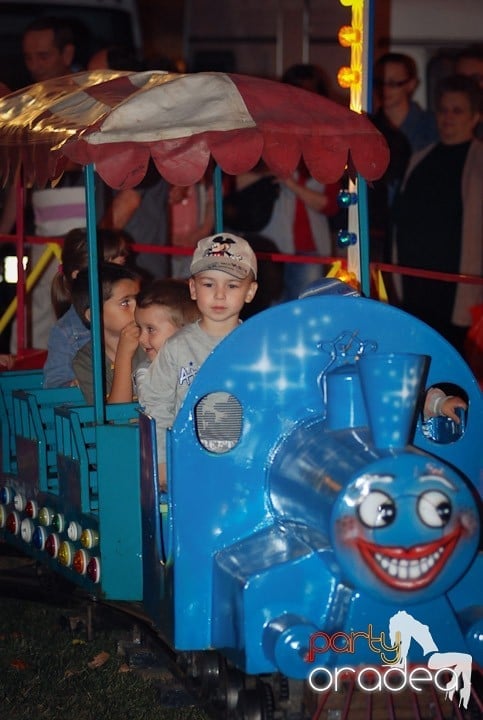 Festivalul vinului şi Târgul pălincarilor - ziua 2,