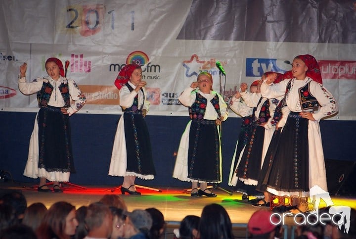 Festivalul vinului şi Târgul pălincarilor - ziua 2,