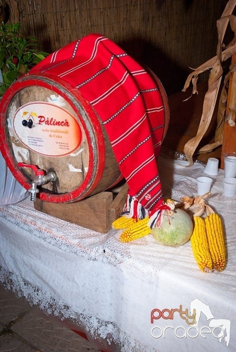 Festivalul vinului şi Târgul pălincarilor - ziua 2,