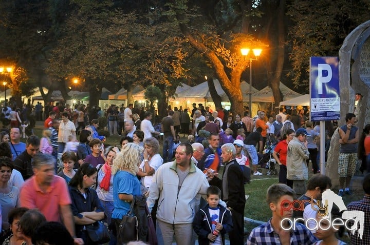 Festivalul vinului şi Târgul pălincarilor - ziua 2,