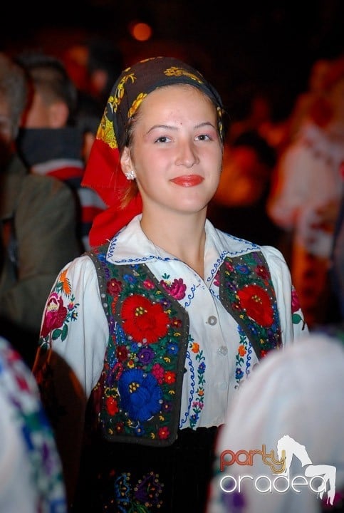 Festivalul vinului şi Târgul pălincarilor - ziua 2,