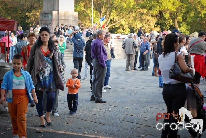 Festivalul vinului şi Târgul pălincarilor,