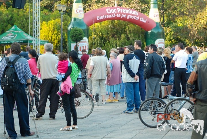 Festivalul vinului şi Târgul pălincarilor,