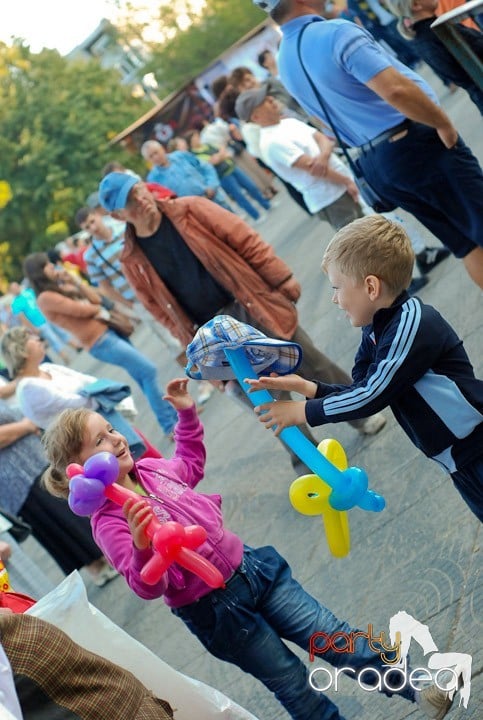 Festivalul vinului şi Târgul pălincarilor,