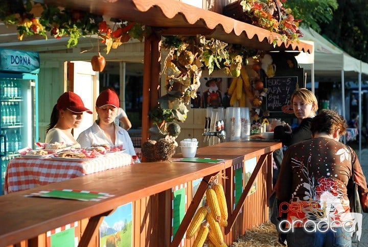 Festivalul vinului şi Târgul pălincarilor,