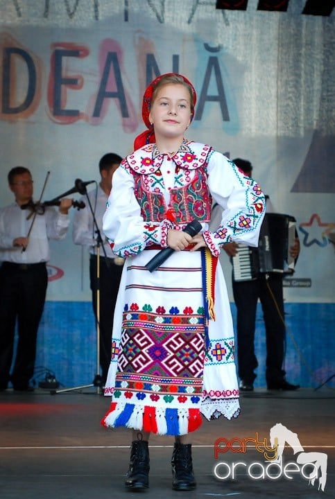 Festivalul vinului şi Târgul pălincarilor,