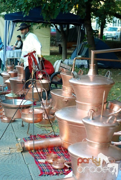 Festivalul vinului şi Târgul pălincarilor,