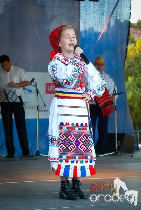 Festivalul vinului şi Târgul pălincarilor,