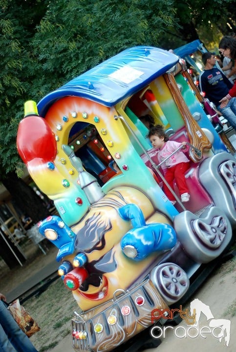 Festivalul vinului şi Târgul pălincarilor,