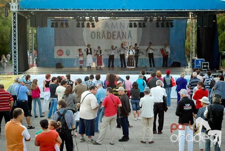 Festivalul vinului şi Târgul pălincarilor,