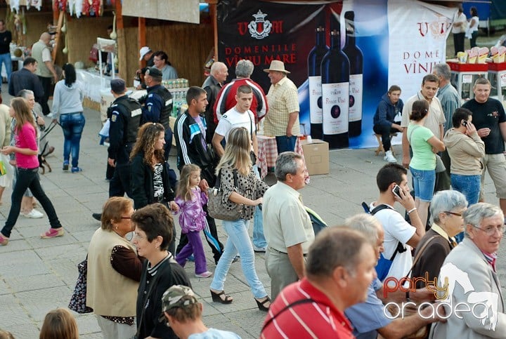 Festivalul vinului şi Târgul pălincarilor,